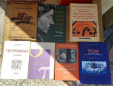 Ομήρου Ιλιάδα Μεταφρασμένη από τον Αλέξανδρο Πάλλη