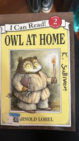 Owl at home