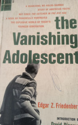The vanishing adolescence