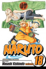 Naruto, Vol. 18 v. 18
