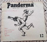 Panderma 12