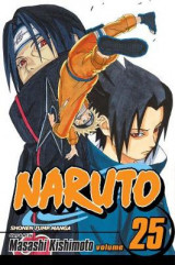 Naruto, Vol. 25 v. 25