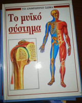 Το Ανθρώπινο Σώμα: Το Μυϊκό Σύστημα