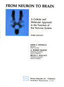 From Neuron to Brain
