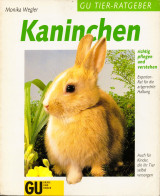 Kaninchen richtig pflegen und verstehen