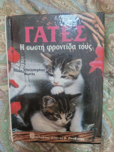 Η σωστή φροντίδα των γατών