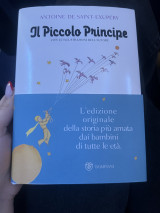 Il piccolo principe