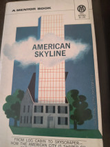 American skyline