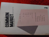 Common market