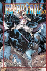 Fairy Tail 30 30