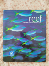 Reef exploring the underwater world