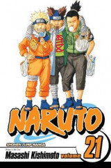 Naruto, Vol. 21 v. 21