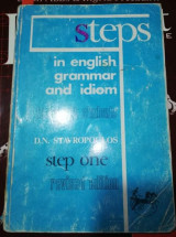 Steps in English grammar and idiom step one