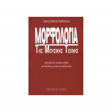 Μορφολογία της Μουσικής