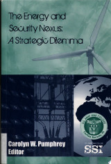 The Energy and Security Nexus