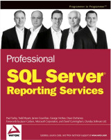 Professional Sql Server Reporting Services